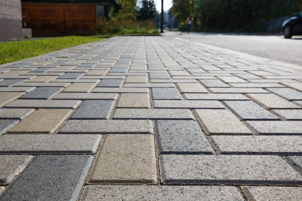 Best Local Driveway Pavers  in La Fayette, AL