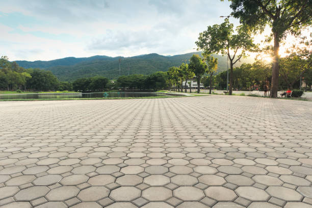 Best Driveway Pavers Near Me  in La Fayette, AL